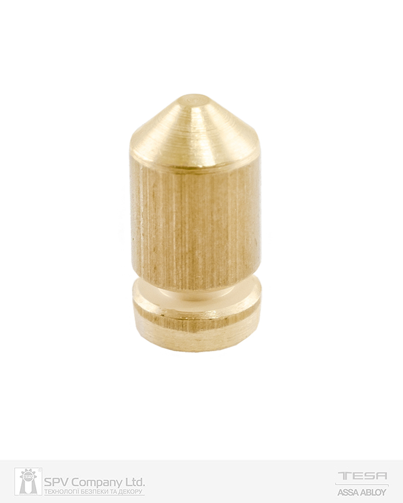 Фото Пін TESA TE5 BASE Nº7 до плуга циліндра 5,5 MM (20шт) в інтернет-магазині lock.ua