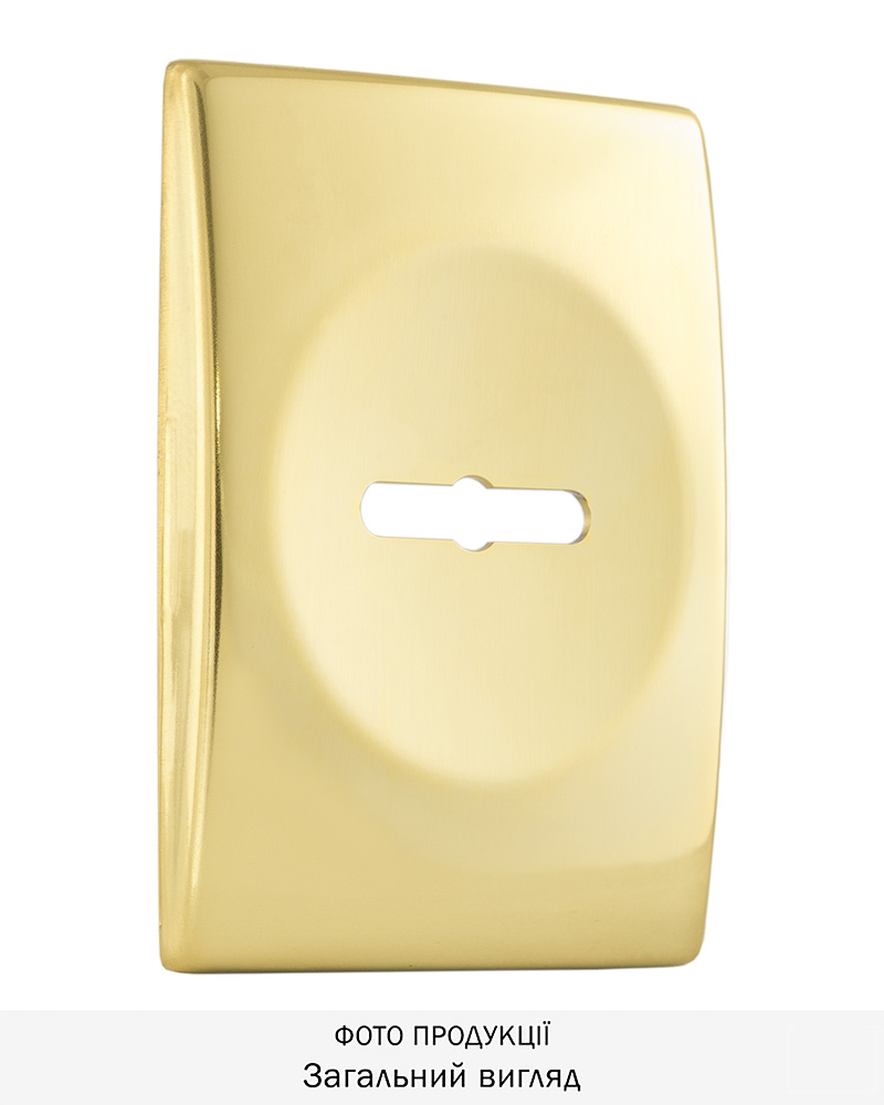 Фото Щиток DISEC     KT3766 MATRIX RECTANGL     Латунь_PVD   2     Без шторки в інтернет-магазині lock.ua