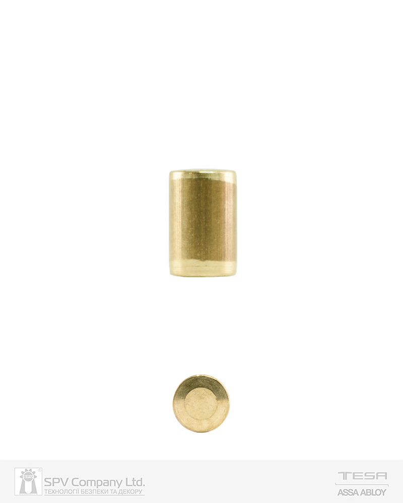 Фото Диск TESA TE5 MASTER Nº11(#9) до плуга циліндра 4,5 MM в інтернет-магазині lock.ua