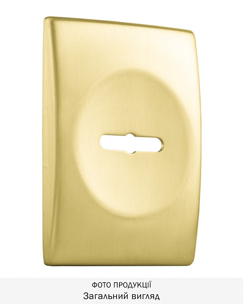 Фото Щиток DISEC     KT3766 MATRIX RECTANGL     Латунь_мат   TT     Без шторки в інтернет-магазині lock.ua