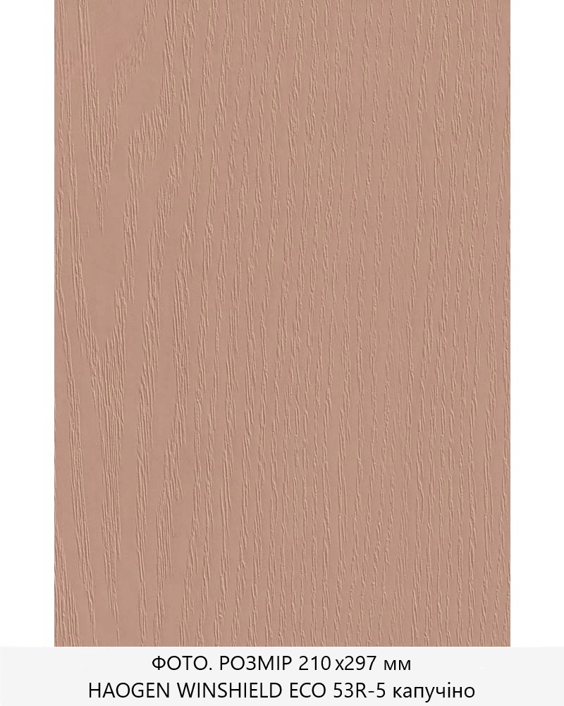 Фото ПВХ-плівка HAOGEN *VINORIT_ECO капучіно 53R-5 RUSTIKAL(R) CAPPUCCINO   *UNICOLOR 0,200мм   в інтернет-магазині lock.ua