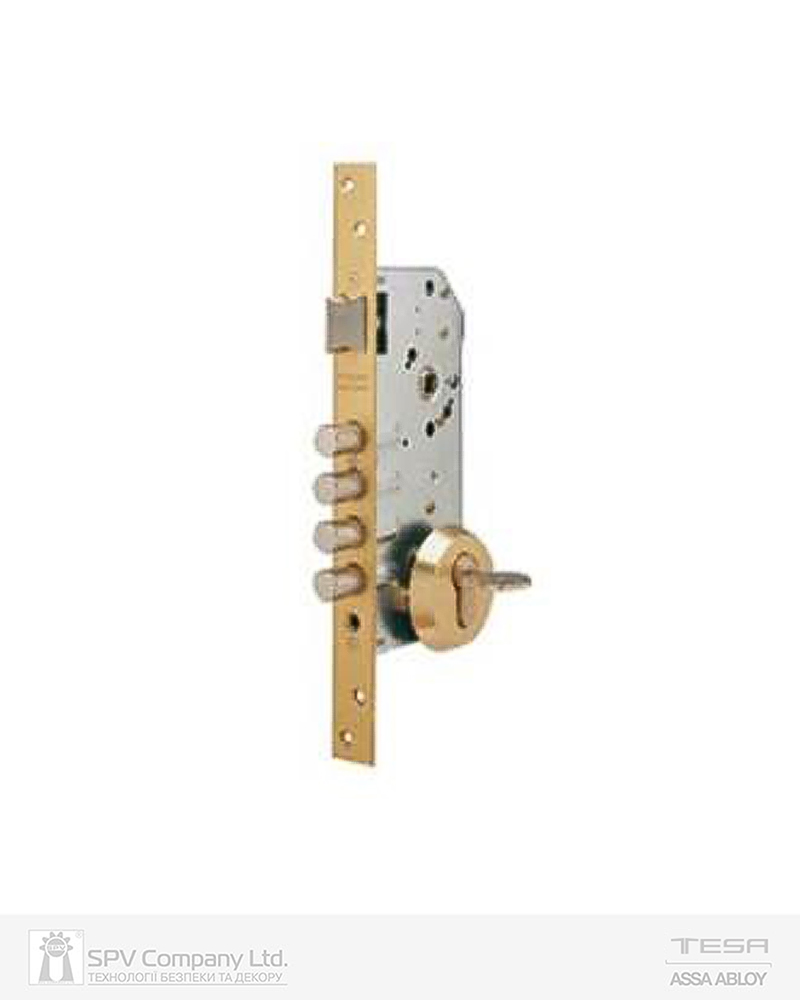 Фото Замок врізний TESA 1-WAY DIN R100B5S CE BRIGHT_BRASS   BS50мм 85мм               w/o_SP з протектором E300L в інтернет-магазині lock.ua
