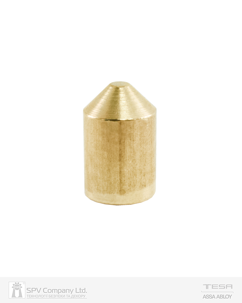 Фото Пін TESA TE5 BASE Nº9 до плуга циліндра 4,5 MM (20шт) в інтернет-магазині lock.ua