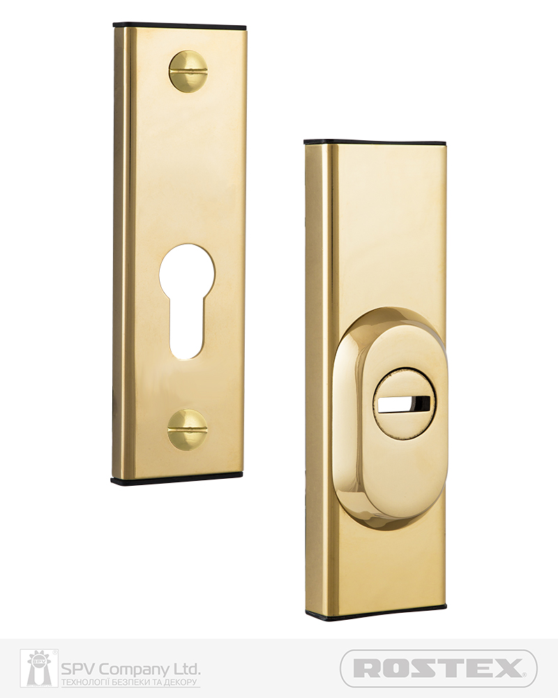 Фото Протектор ROSTEX   R1/R4 R3 DIN PLATE 22мм 40-45мм Титан_PVD_полірований 3клас TI     Комплект в інтернет-магазині lock.ua