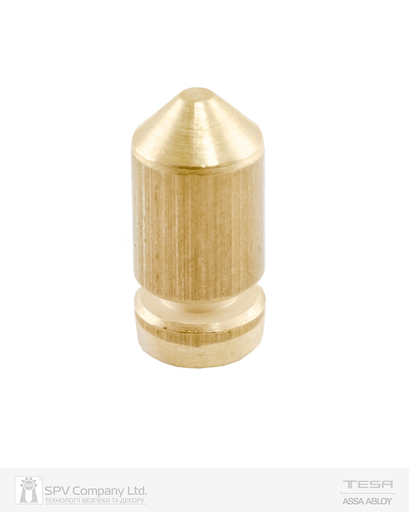 Фото Пін TESA TE5 BASE Nº6 до плуга циліндра 6 MM (20шт) в інтернет-магазині lock.ua