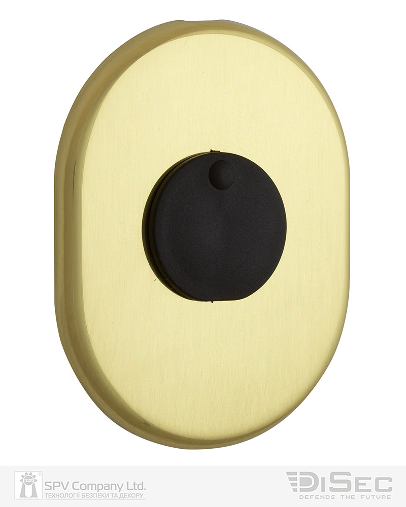Фото Щиток DISEC     KT088 MATRIX OVAL     Латунь_полірована   L     З шторкою в інтернет-магазині lock.ua