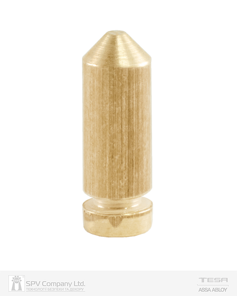 Фото Пін TESA TE5 BASE Nº2 до плуга циліндра 8 MM (20шт) в інтернет-магазині lock.ua